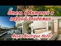 Отели Анталии в период эпидемии.  Недорогой отель Avşar Boutique Hotel. Анталия 2020.