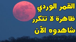 القمر الوردي الآن في السماء | ظاهرة لا تتكرر