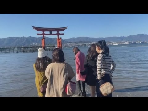 つばきファクトリー ♪You're My Friend feat.KIKI(広島VLOG edit)=貴殿的管#392