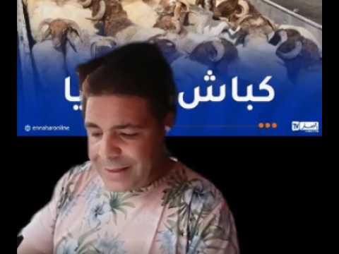 لايف جبور والطليعة على الجزائريين ..  لايف 23-05-2026