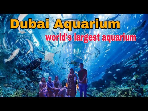 Latest update: Dubai Aquarium Tunel || Dubai Aquarium || relaxation music and video