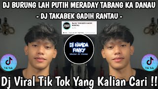DJ BURUNG LAH PUTIH MERANDAY TABANG KA  DANAU 🎶 DJ TAKABEK GADIH RANTAU 🎶 DJ VIRAL TIK TOK 2026 !! 