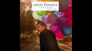 Video thumbnail of "David Fonseca - I'll Never Hang My Head Down"