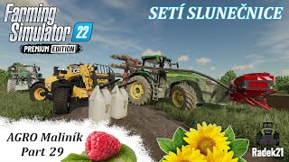 SETÍ SLUNEČNICE🌻| AGRO Maliník | Zielonka | Farming Simulator 22 CZ/SK #29