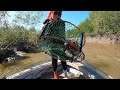 Fishing  crabbing townsville  chilli mud crab catch  cook