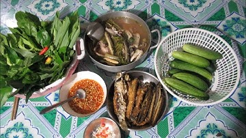 tìm rau rừng ăn cùng cá chiên!bữa cơm quê đơn giản mà ngon! út cà mau!