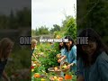 The Gardener Who Transformed an Urban Lot into a Community Oasis