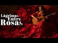 Lágrimas Entre Rosas Heartfelt Flamenco Guitar Music 