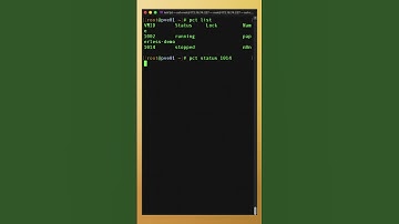 This Simple Command Shows Container Status Instantly