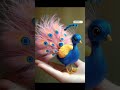 Cute Peacock | ai generated video | ai funny video | ai world leaders #ai #pregnancy #cute #peacock