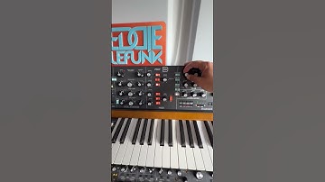 Synth Jam Moog subsequent 37 & Behringer Poly D #analogsynthjam #electronicmusic #synth #synthshorts
