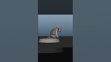 Animal & Creature Animation Courses: Learn to animate realistic creature movement from industry pros