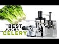 The best juicer for celery