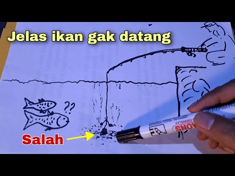 Video: Salmon Laut Hitam. Habitat, memancing, memancing