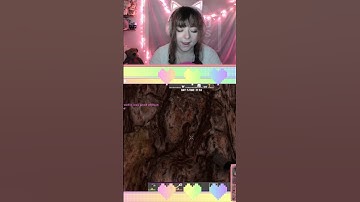 i hate trader rekt | #nymphiiah on #Twitch