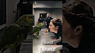viral bird and man talking 😮#viralfunnyvideo #foryouyoutubeshort