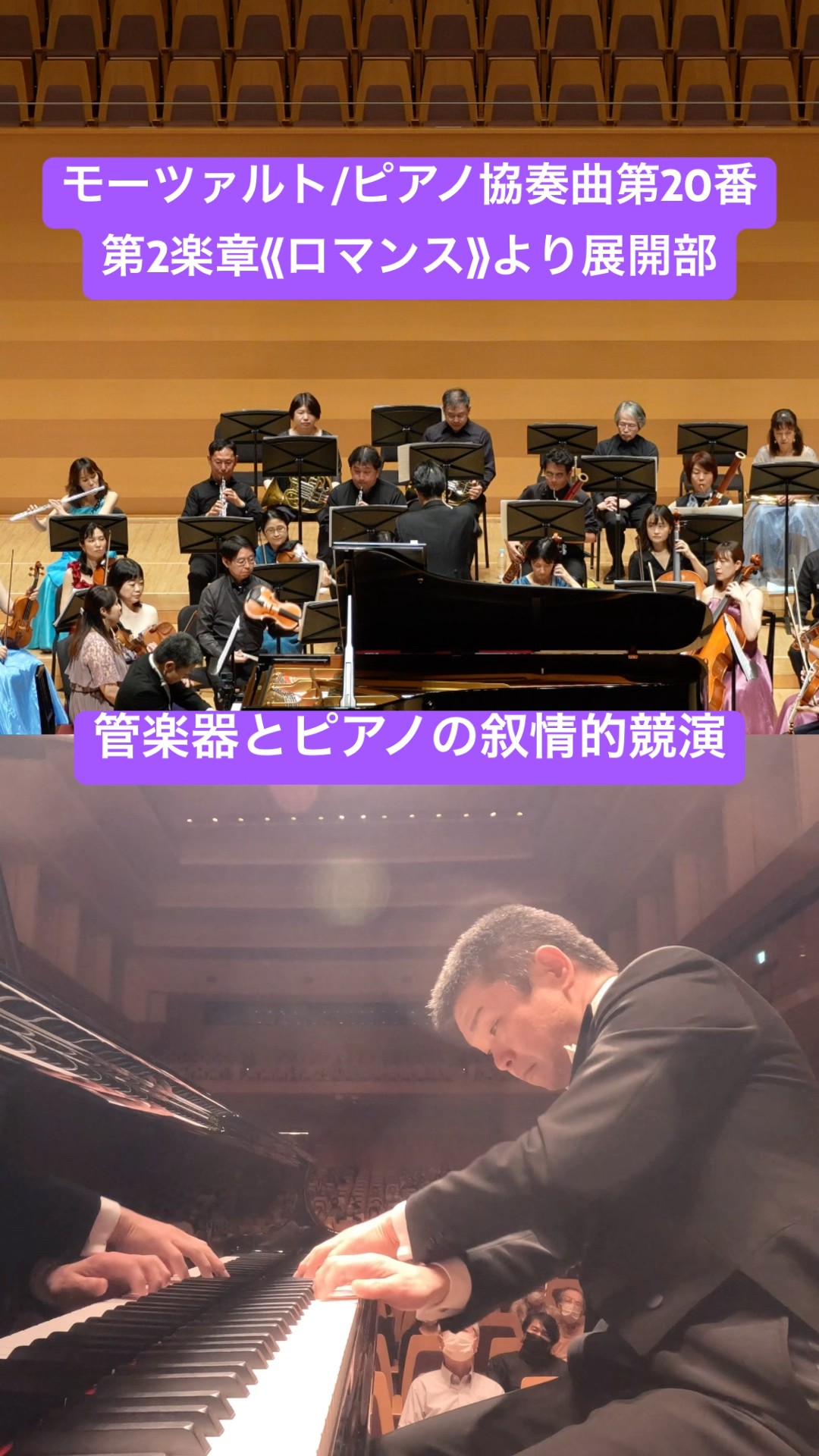 モーツァルト ピアノ協奏曲第20番ニ短調k466 第2楽章より《展開