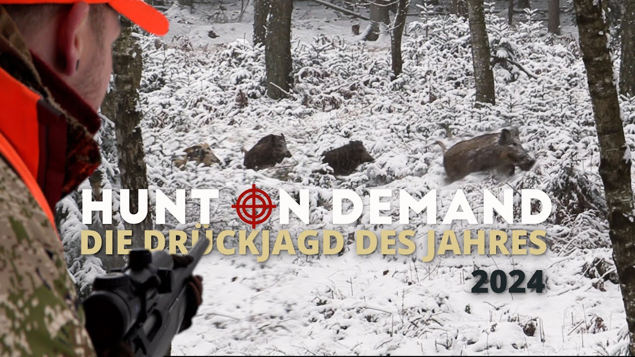 🐗❄️  SAUEN IM SCHNEE ❄️🐗 Die Hunt on Demand Drückjagd des Jahres 2024 – die ersten 26 Minuten