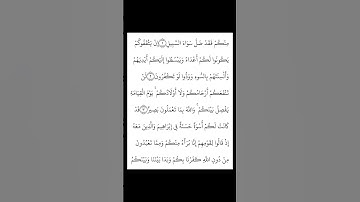 سورة الممتحنة بصوت الشيخ سعد الغامدي #القرآن_الكريم #راحة_نفسية #اطمئن #رمضان