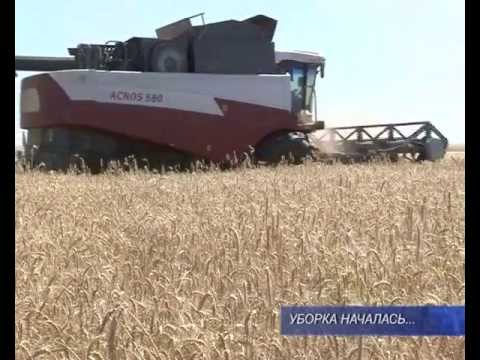 В добрый час.