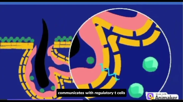 The Skin Microbiome: A healthy bacterial balance