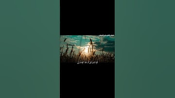 تلاوة عطرة من سورة الكهف للقارئ ياسر العجلان🍃 #اكسبلور #راحة_نفسية #المصحف #ارح_سمعك #لايك