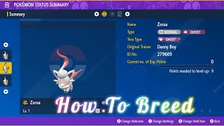 How to breed Hisuian Zorua with different pokeballs - Pokemon Scarlet and Violet