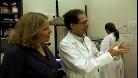 Inside One Research Lab - National MS Society