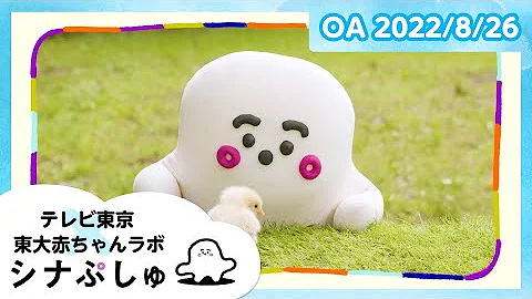 赤ちゃんが泣き止む動画