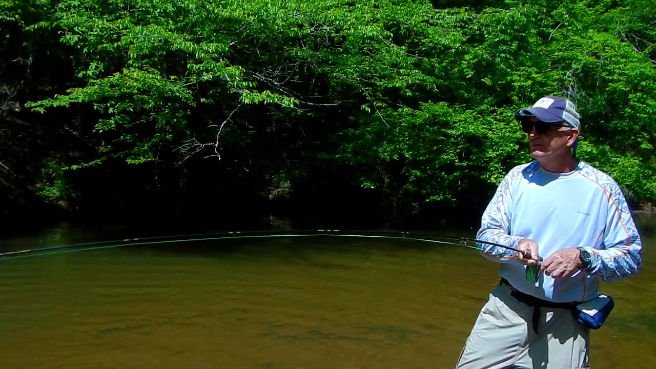 Mountain Laurel Magic Fly Fishing Alabama YouTube