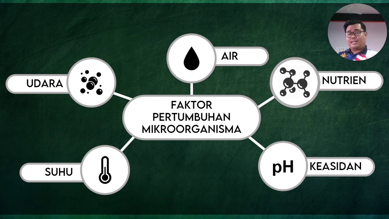 Faktor Yang Membantutkan Pertumbuhan Mikroorganisma Tahun 6  Faktor