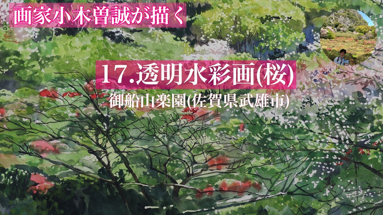 17th] Watercolor Transparent watercolor painting (cherry blossoms
