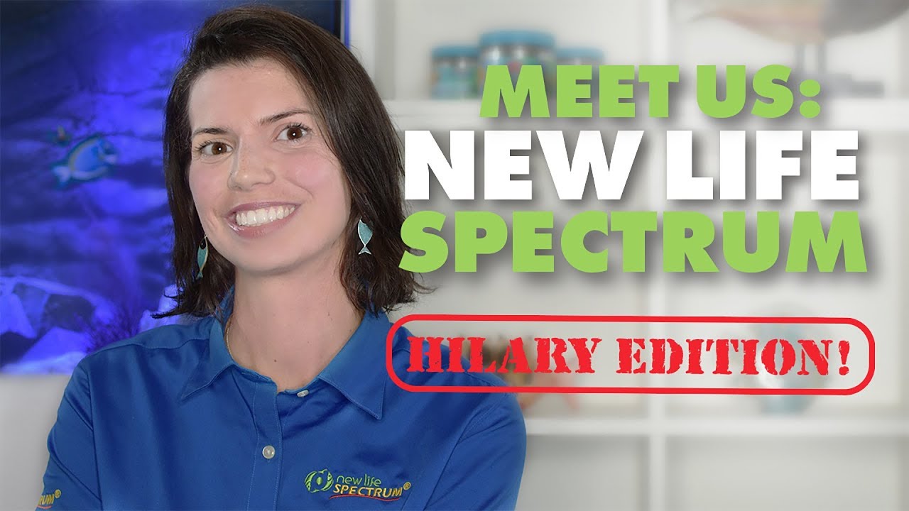 marine aquarium 3.3 pro apk Meet Hilary! (New Life Spectrum Premium Fish Food)