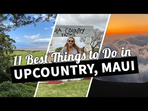 Video: Un tur cu mașina în Upcountry Maui, Hawaii