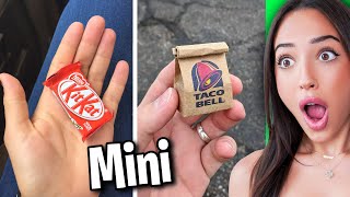 Everyday Objects But MINI