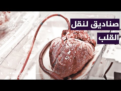 فيديو: قلب مفتوح على مصراعيه