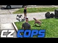 Code zero cops 62  aggressive dogs criminal polecat