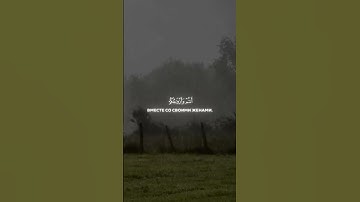 سورة الزخرف بصوت محمد اللحيدان ولا تنسونا بزر اللايك
