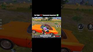 No Fight Teammate Important Shorts