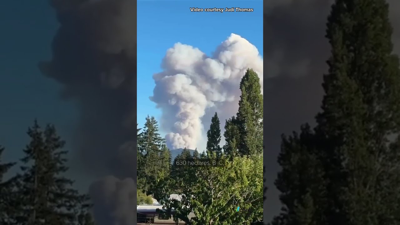 New Wildfire Discovered Outside Of Port Alberni