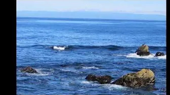17 Mile Scenic Drive in California - San Francisco Trip (2/8) 17 Mile Scenic Drive in California - San Francisco Trip (2/8)