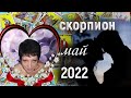 Скорпион | Любовь | Май 2022