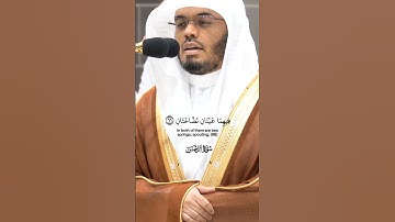ومن دونهما جنتان _من سورة الرحمن_ تلاوة مرئية من صلاة العشاء 14 ذو الحجة 1445هـ_الشيخ ياسر الدوسري