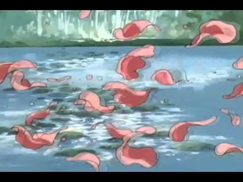 SHAG - Rainy Night Alone