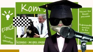Факт Когда впервые клонировали собаку и сколько это стоит Факт Когда впервые клонировали собаку и сколько это стоит