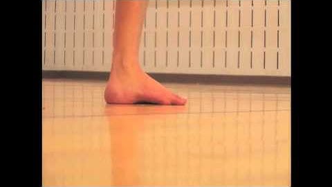 The Spring Suspension System Muscles Help You Spring Off The Ground