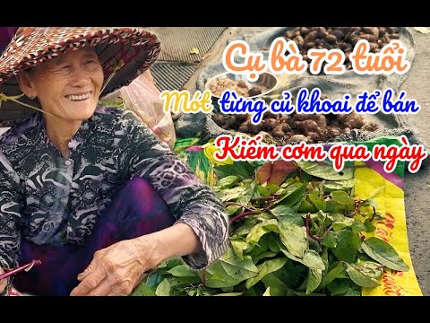 Cụ bà 72 tuổi phải đi mót từng củ khoai mưu sinh qua ngày | BGBB