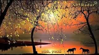 Louis Armstrong-What A Wonderful World (lyrics)