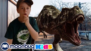 Los Dinosaurios se Mudan a California  Parte 4 | Videos de Dinosaurios para Niños | Moonbug Kids