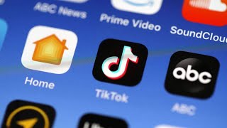 ‘Full of propaganda’: Chinese government can direct TikTok to ‘pump out’ disinformation